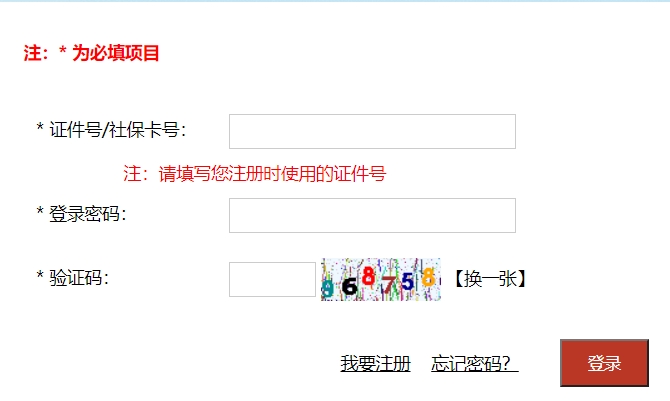 Ĵ2024쎟_ͨ