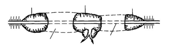 2025һ(j)쎟·̡c(din)1