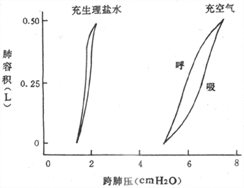 充空氣和充生理鹽水時肺的順應(yīng)性曲線