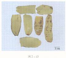 2016年執(zhí)業(yè)藥師《中藥專(zhuān)業(yè)知識(shí)一》臨考通關(guān)卷(2)