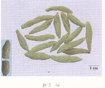 2016年執(zhí)業(yè)藥師《中藥專(zhuān)業(yè)知識(shí)一》臨考通關(guān)卷(2)