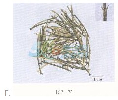 2016年執(zhí)業(yè)藥師《中藥專(zhuān)業(yè)知識(shí)一》臨考通關(guān)卷(2)