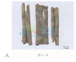 2016年執(zhí)業(yè)藥師《中藥專(zhuān)業(yè)知識(shí)一》臨考通關(guān)卷(2)