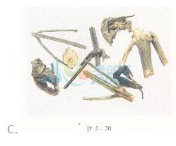2016年執(zhí)業(yè)藥師《中藥專(zhuān)業(yè)知識(shí)一》臨考通關(guān)卷(2)