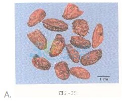 2016年執(zhí)業(yè)藥師《中藥專(zhuān)業(yè)知識(shí)一》臨考通關(guān)卷(2)