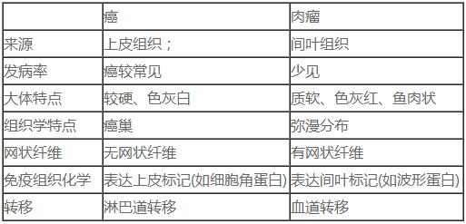 2019R(zh)I(y)t(y)ԇW(xu)c(din)(Ĺ(ji))