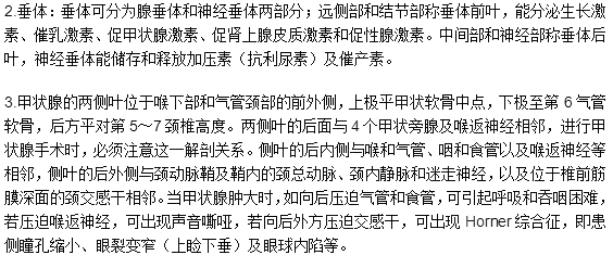 臨床執(zhí)業(yè)醫(yī)師考試《解剖學(xué)》可能考到的12個(gè)知識(shí)點(diǎn)