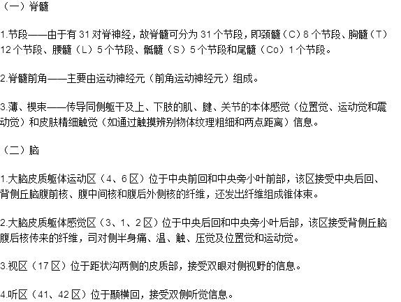 臨床執(zhí)業(yè)醫(yī)師考試《解剖學(xué)》可能考到的12個(gè)知識(shí)點(diǎn)