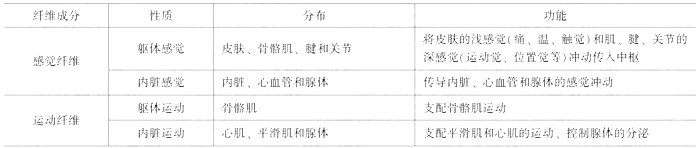 臨床執(zhí)業(yè)醫(yī)師考試《解剖學(xué)》可能考到的12個(gè)知識(shí)點(diǎn)