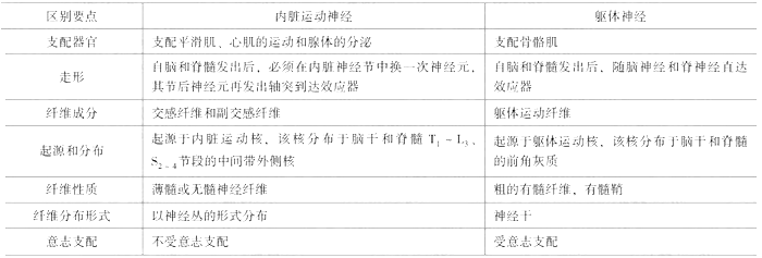 臨床執(zhí)業(yè)醫(yī)師考試《解剖學(xué)》可能考到的12個(gè)知識(shí)點(diǎn)