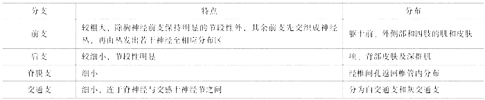 臨床執(zhí)業(yè)醫(yī)師考試《解剖學(xué)》可能考到的12個(gè)知識(shí)點(diǎn)