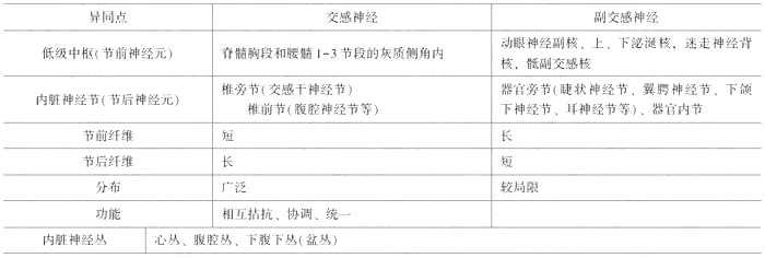 臨床執(zhí)業(yè)醫(yī)師考試《解剖學(xué)》可能考到的12個(gè)知識(shí)點(diǎn)