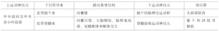 臨床執(zhí)業(yè)醫(yī)師考試《解剖學(xué)》可能考到的12個(gè)知識(shí)點(diǎn)