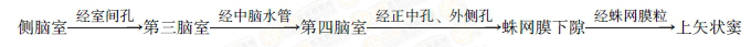臨床執(zhí)業(yè)醫(yī)師考試《解剖學(xué)》可能考到的12個(gè)知識(shí)點(diǎn)