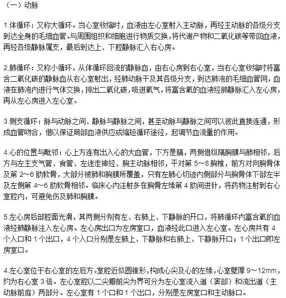 臨床執(zhí)業(yè)醫(yī)師考試《解剖學(xué)》可能考到的12個(gè)知識(shí)點(diǎn)