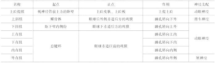 臨床執(zhí)業(yè)醫(yī)師考試《解剖學(xué)》可能考到的12個(gè)知識(shí)點(diǎn)