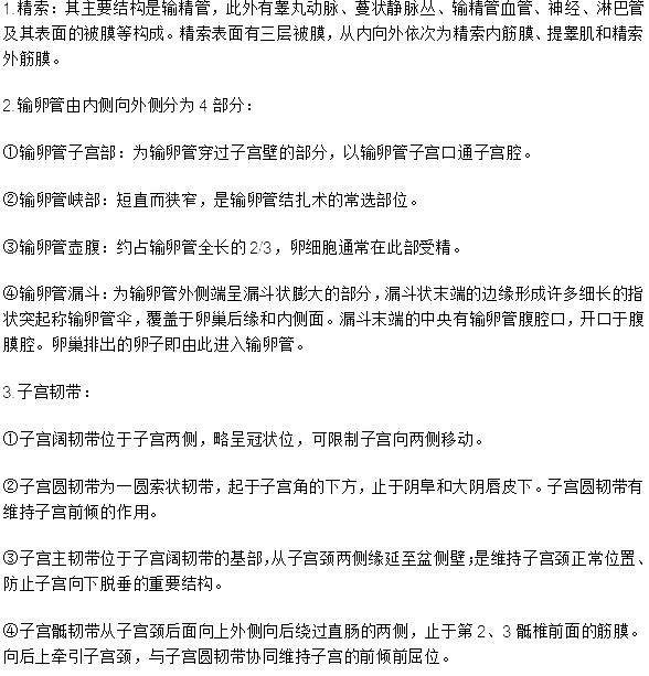 臨床執(zhí)業(yè)醫(yī)師考試《解剖學(xué)》可能考到的12個(gè)知識(shí)點(diǎn)
