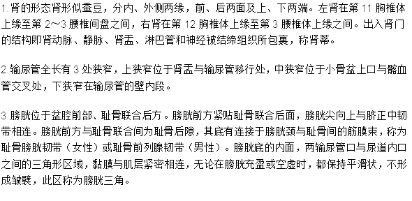 臨床執(zhí)業(yè)醫(yī)師考試《解剖學(xué)》可能考到的12個(gè)知識(shí)點(diǎn)