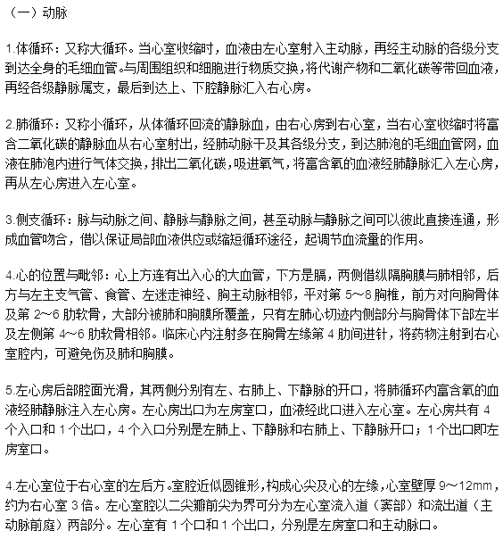 臨床執(zhí)業(yè)醫(yī)師考試《解剖學》考點：脈管系統(tǒng)