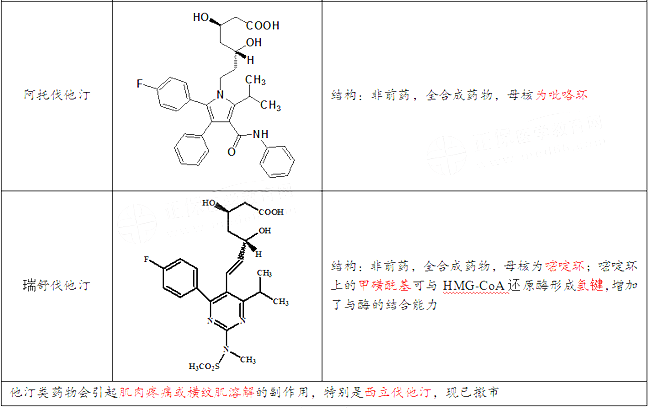 2021(zh)I(y)ˎˎһ¿cõˎYc
