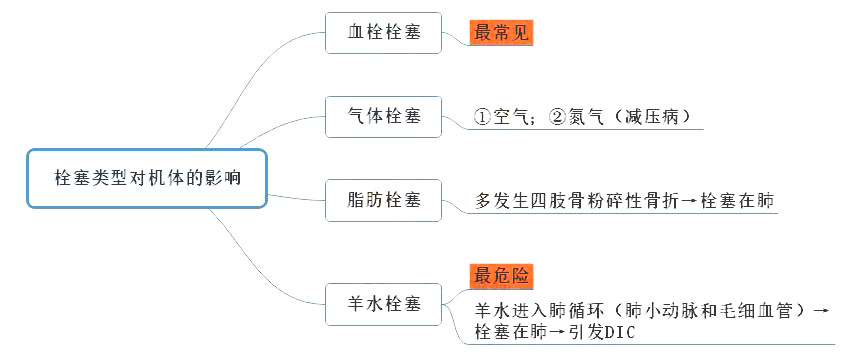 2021年臨床助理醫(yī)師考試《病理學(xué)》常見考點(diǎn)