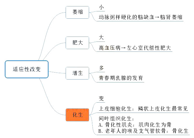 2021年臨床助理醫(yī)師考試《病理學(xué)》常見考點(diǎn)