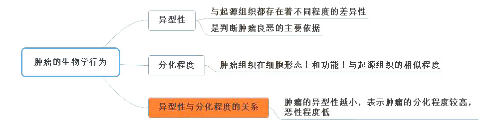 2021年臨床助理醫(yī)師考試《病理學(xué)》常見考點(diǎn)
