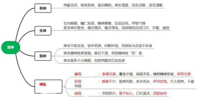 2022執(zhí)業(yè)藥師《中藥綜》高頻考點(diǎn)：望診—望神
