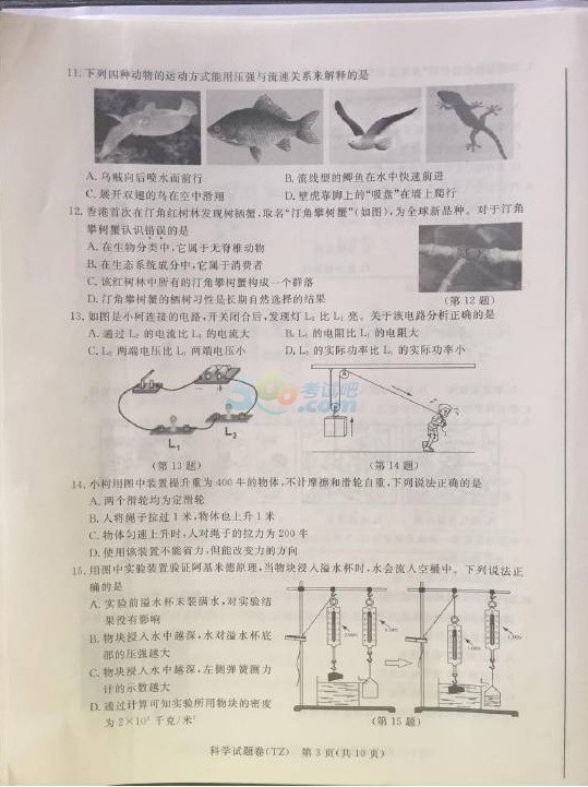 考試吧:2017浙江臺州中考《科學》試題