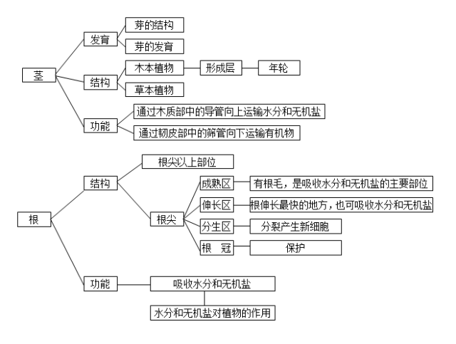 2020中考生物知識點結構圖分類整理:生物圈中的綠色植物