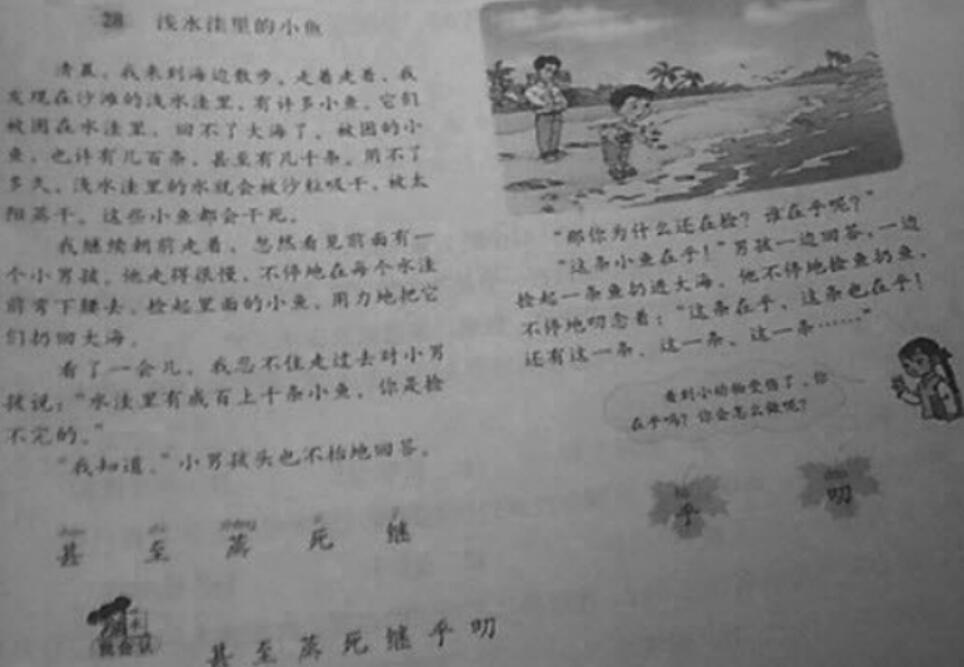 2018年上半年教師資格小學(xué)教育知識真題及答案
