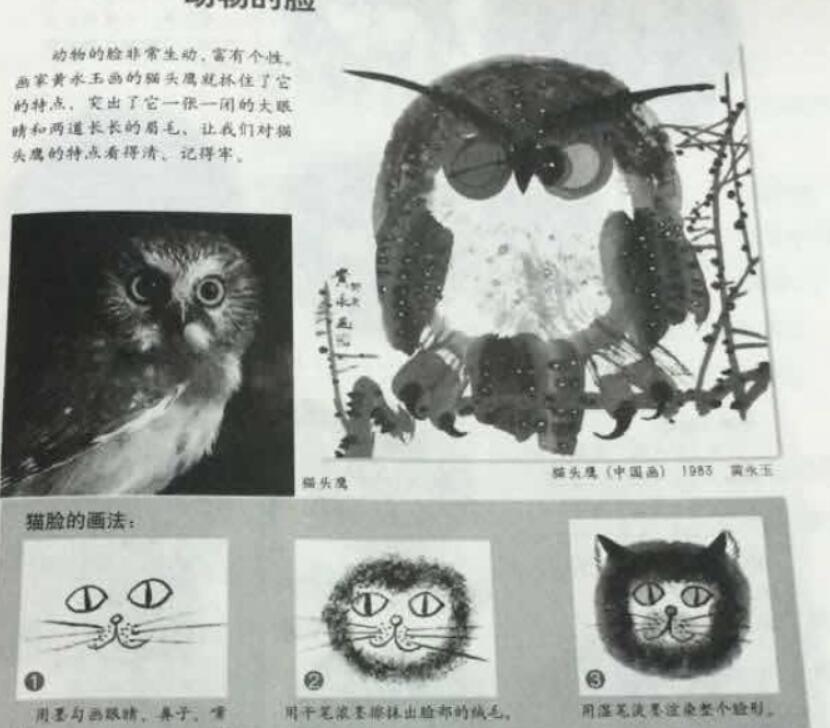 2018年上半年教師資格小學(xué)教育知識真題及答案